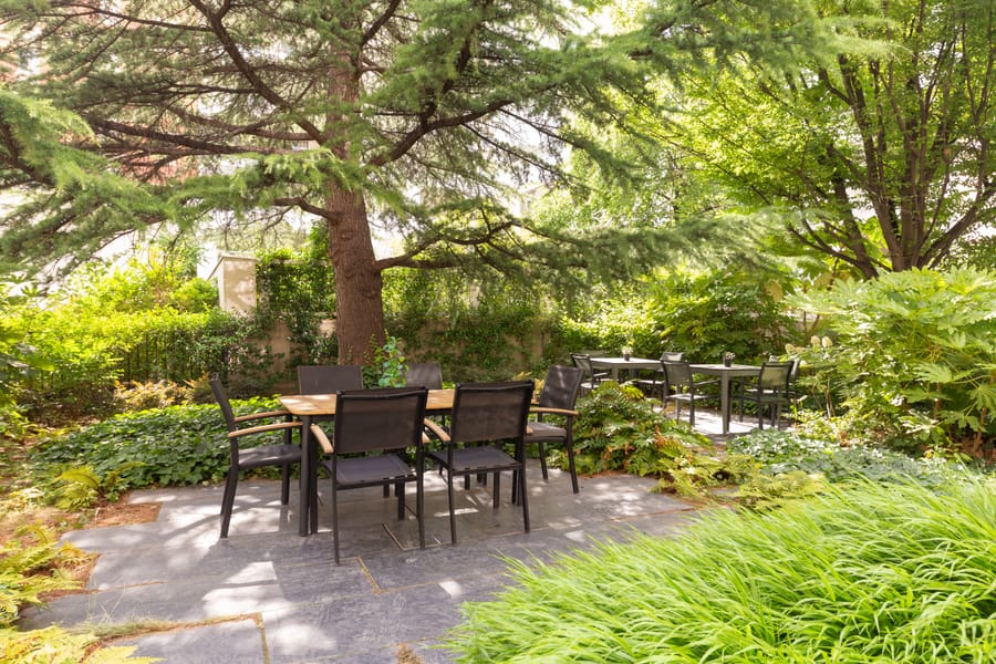The garden, terrace side.