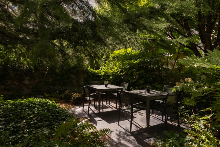The garden.
